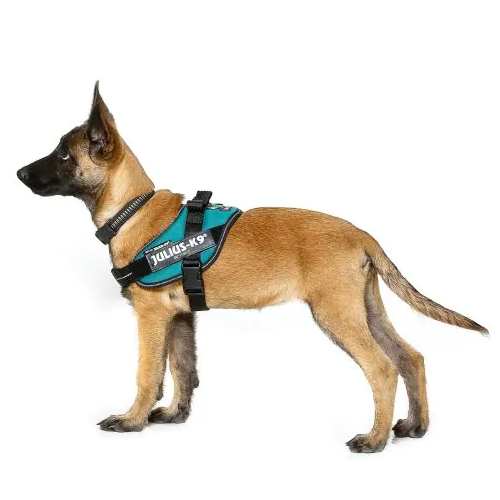 JULIUS-K9 IDC Powerharness