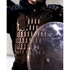 Public Order &amp; Riot Chest &amp; Back Protector